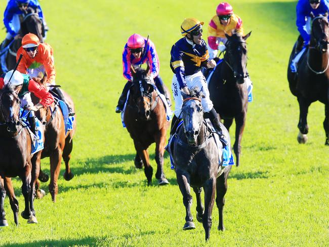 Chautauqua takes out the T.J. Smith Stakes at Royal Randwick. Picture: Jenny Evans
