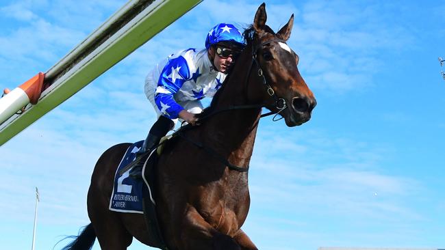 Tony Gollan isn’t deterred by Golden Boom’s wide gate in the Bribie Handicap. Picture: Grant Peters/Trackside Photography