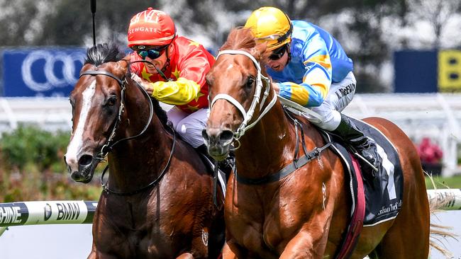 Royal Randwick races; Brad Davidson tips best bets; free horse racing ...