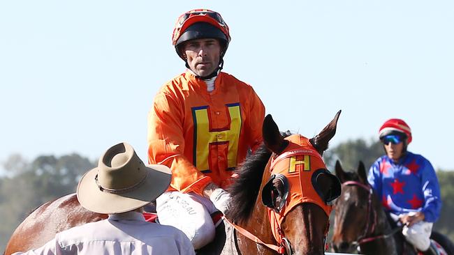 Cedarwood, ridden by Chris Whiteley, returns to scale after winning Race 5, the Class 6 Plate at Cannon Park, Woree. PICTURE: BRENDAN RADKE.