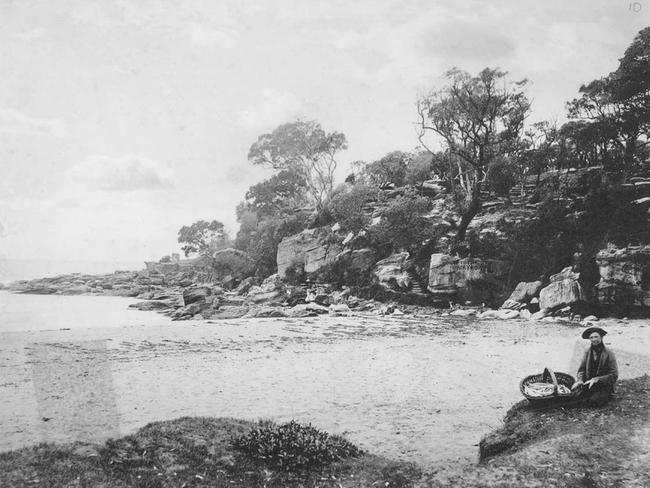 The southern end of Manly Beach before Marine Parade was built. Photo State Library of NSW