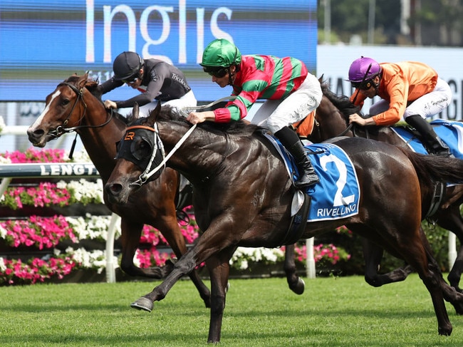 Rivellino  win the Inglis Millennium at Randwick on Saturday. Photo: Jeremy Ng/Getty Images.