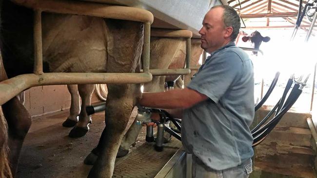 Robbie Radel says its bittersweet to be back dairying at the family's dairy farm at Coalstoun Lakes. Picture: Contributed.