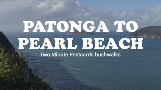 Bushwalk from Patonga to Pearl Beach