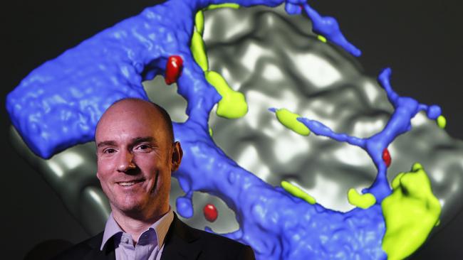 Researcher Dr Edwin Hawkins with an image of bone and cancer cells at the Walter and Eliza Hall Institute of Medical Research. Picture: David Caird