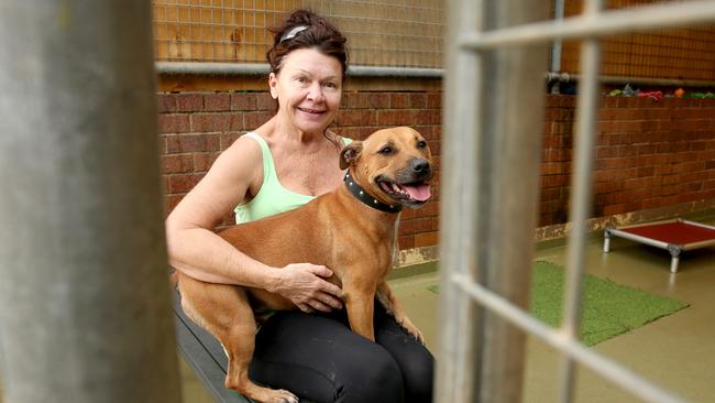 Lou Burke with Treble at Redlands Animal Shelter. Picture: Richard Walker