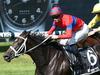 Randwick and Flemington options for Verry Elleegant