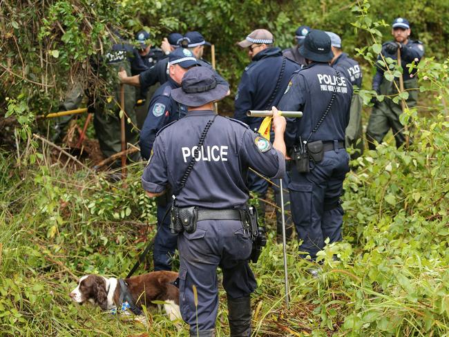 Police searching for William Tyrrell in bushland at Batar Creek 4km from where he disappeared. Picture by Peter Lorimer.