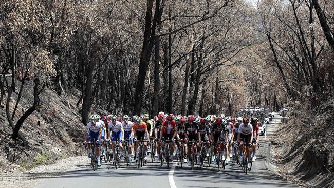 The Peloton makes its way through fire-ravaged Woodside. Picture: Sarah Reed