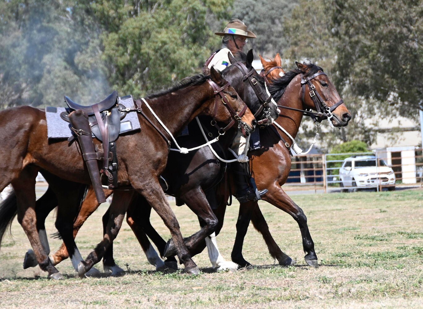 Queensland Mounted Infantry Challenge at the Toowoomba Showgrounds. Wendy Ingle, 11th Light Horse Regiment Darling Downs Troop.