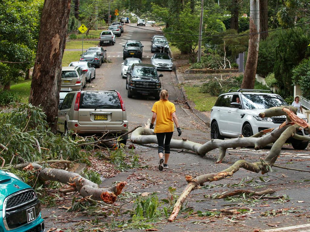 The scene in Pymble, after a storm hit some of the northern suburbs of Sydney. Picture: Justin Lloyd