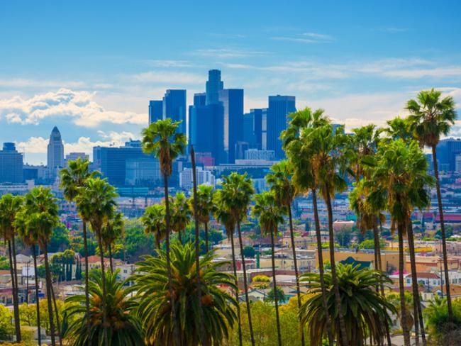 Palm trees are one of the first things that come to mind when you think of LA.