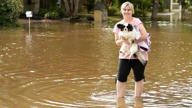 Natasha Thomas carries Bonnie the dog through the floodwater after a water main burst in Willow Drive, Paradise. Picture: Bianca De Marchi