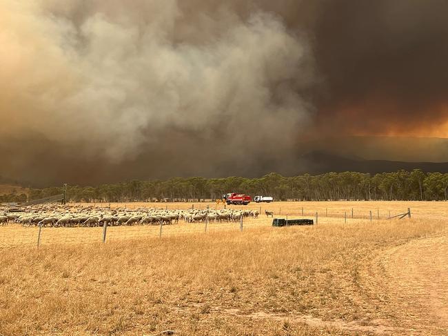 Supplied picture of the Grampians fire. Picture: CFA