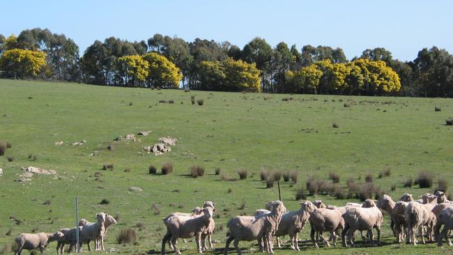 John Ive’s carbon-rich farm near farm Yass in New South Wales.