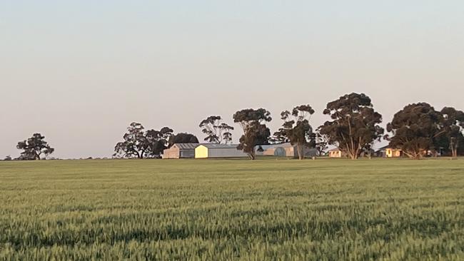 Four cropping farms near Serviceton sold post-auction last month. Picture: Supplied