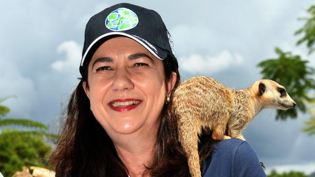 Queensland Premier Annastacia Palaszczuk poses with a meerkat at Beerwah on the Sunshine Coast. Picture: AAP