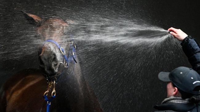 Amelia’s Jewel is now based in Sydney for Annabel Neasham. Picture: Vince Caligiuri/Getty Images