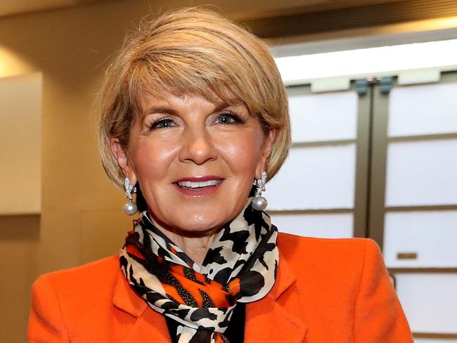 Julie Bishop is the most popular contender in the polls, but does she have the policy smarts to lead?