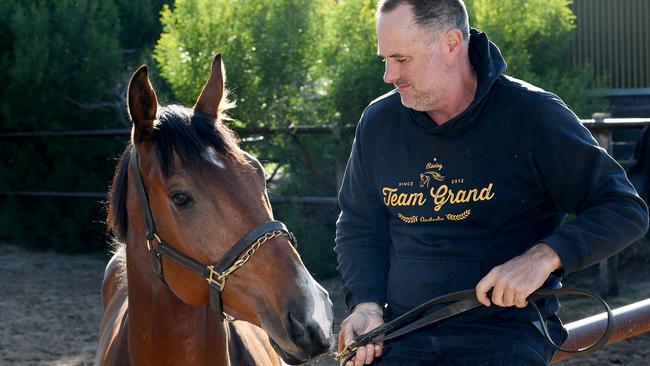 Trainer David Jolly won the Group 1 Memsie Stakes with Behemoth. Picture: Mark Brake