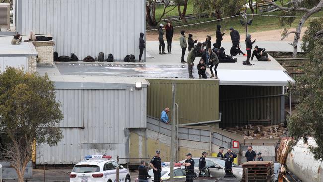 Protesters on roof of Strath Meats Abbatoir, at Strathalbyn late last year. Picture: Dean Martin/AAP