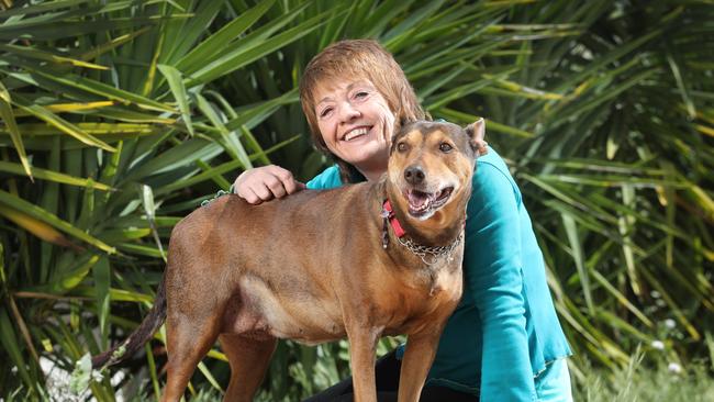 Deborah Pilgrim, pictured at home with her dog Summer, got lost on a morning walk while camping with friends a year ago. Picture: Dean Martin