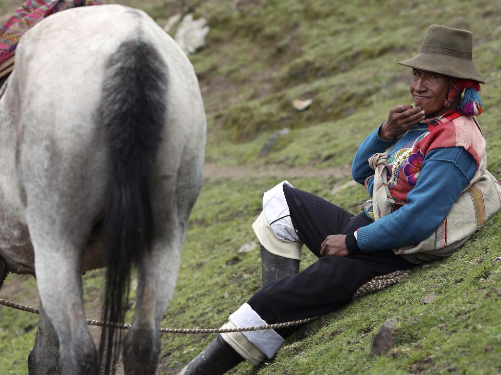An Andean muleteer takes a quick break during a busy day of guiding tourists. Picture: AP/Martin Mejia
