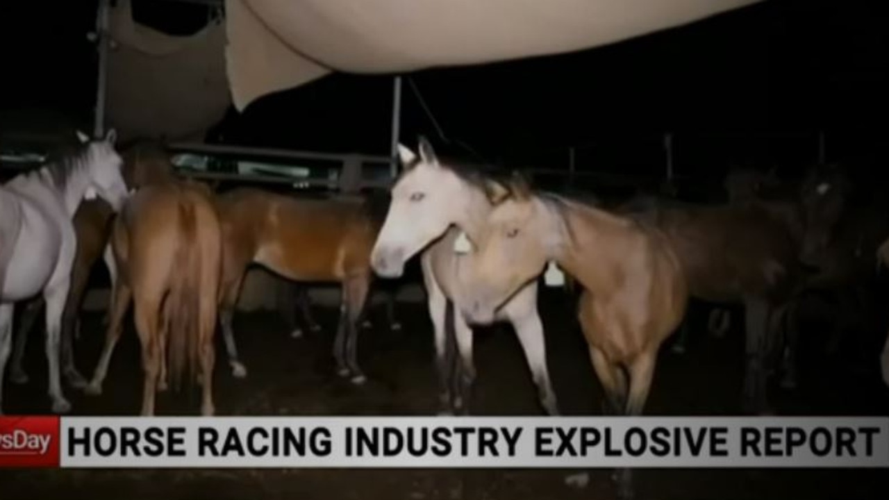 The ABC’s dire report on the ‘dark side’ of the racehorse industry has been slammed for ‘false’ and ‘unfair’ reporting.