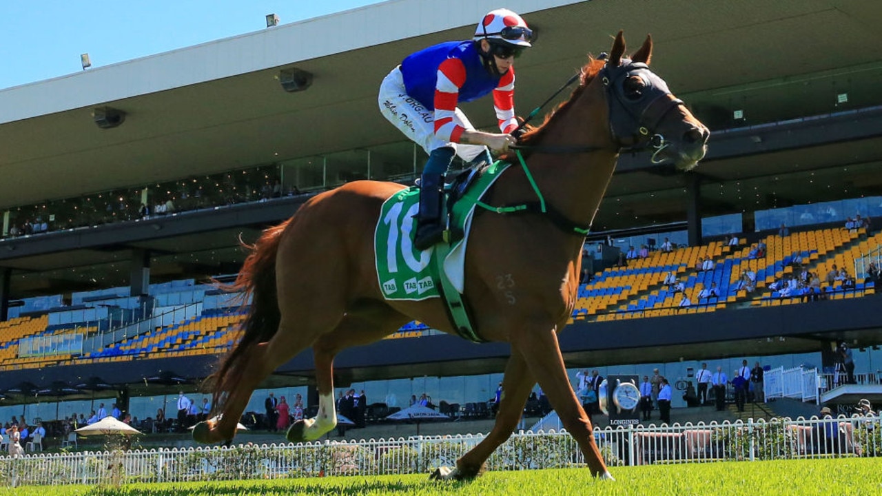 SYDNEY, AUSTRALIA - JANUARY 16: Robbie Dolan on Above And Beyond wins race 6 the TAB Handicap during Sydney Racing at Rosehill Gardens on January 16, 2021 in Sydney, Australia. (Photo by Mark Evans/Getty Images)