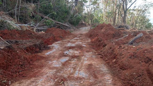 A modest trail has been fashioned over and through the wreckage along Cape Tribulation Road, giving patient residents intermittent access to the outside world.