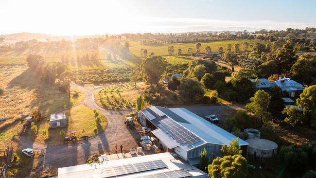 Sam Statham has installed solar at Rosnay wines. Photo: Supplied.