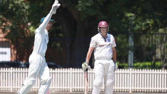 Gordon batsman Alex Patterson is given out by LBW in the Randwick Petersham vs Gordon cricket match in Chatswood on Saturday. Picture: Angelo Velardo