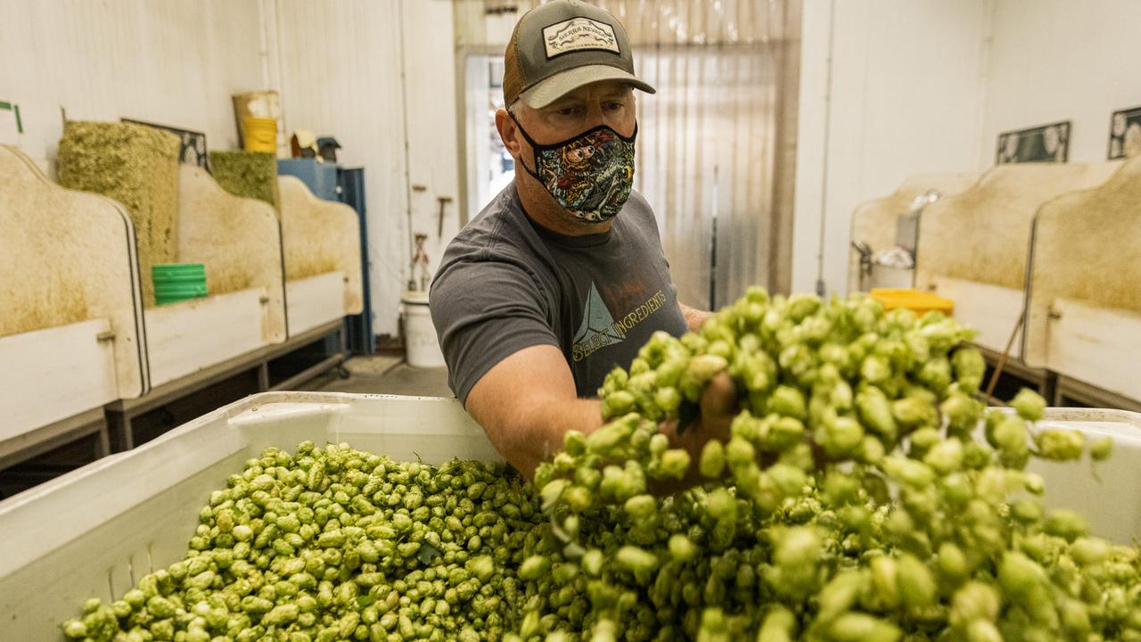 The Sierra Nevada team is a big fan of Australian hops.