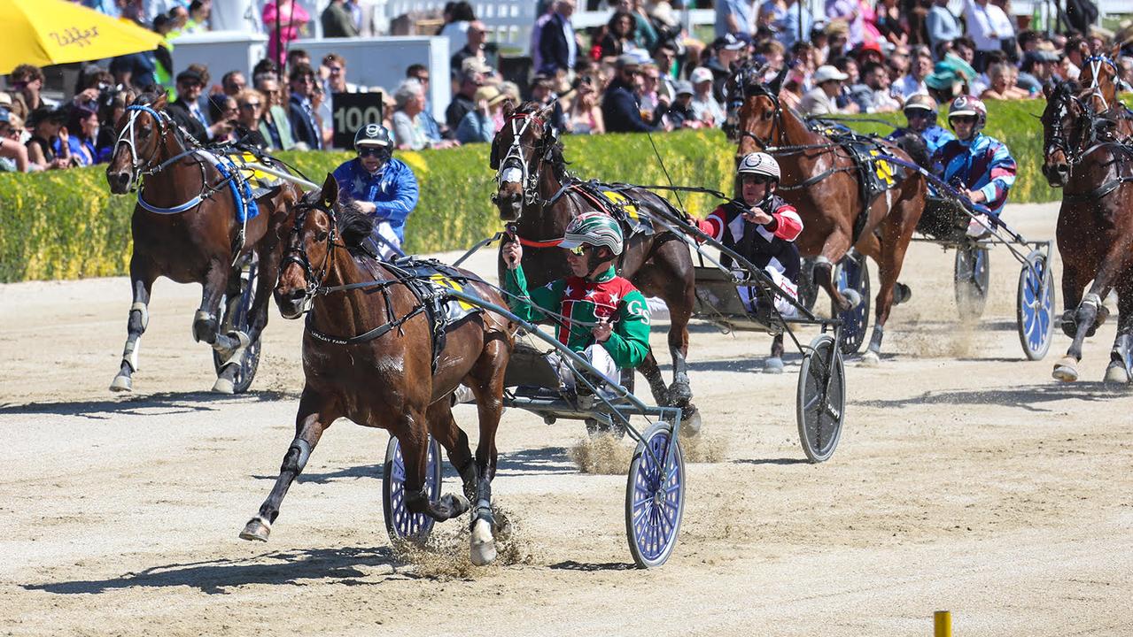 Just Believe crowned New Zealand Horse of the Year