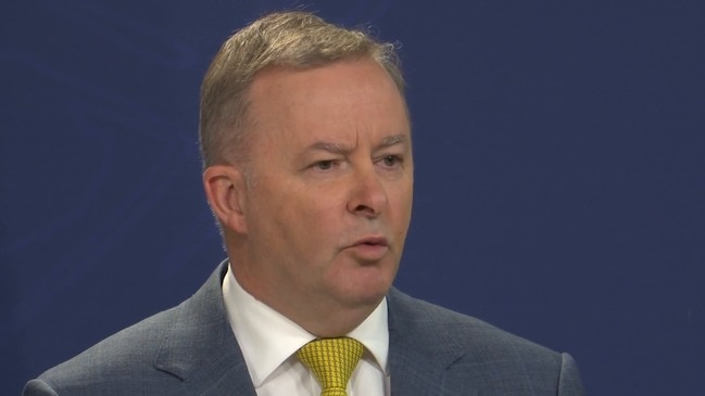 Bridget McKenzie's position is untenable: Albanese