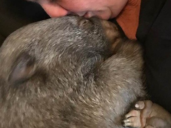 COMMERCIAL EDITORIAL. TAM. Yolandi Vermaak from ACT has been nominated in the Thanks A Million campaign for her volunteering work to help save at-risk wombats. Picture: Supplied