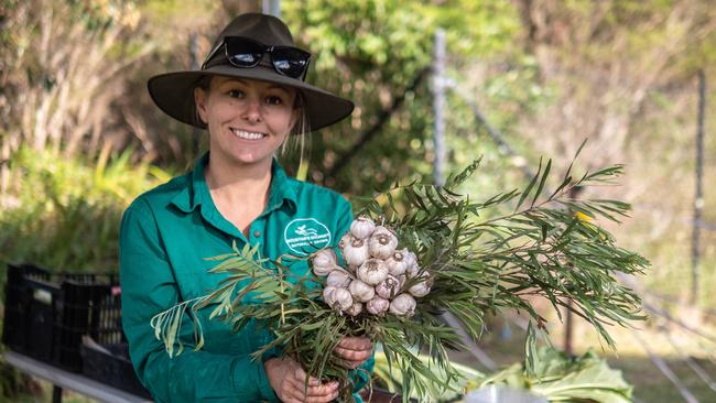 RHIANNON PHILLIPS, BLUE MOUNTAINS NSW – HORTICULTURE PICTURE: SUPPLIED