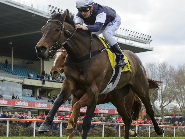 Melbourne Cup winner Almandin finishes runner-up in the fifth. Picture: Getty Images