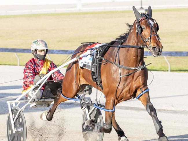 Race 1: Beckley Park, Geelong Cup Night, Saturday 21-10-2023 Barwon FM Pace (Nr 50 to 55.) Winner: Fighter Command (10) Trainer: Jess Tubbs ; Driver: Greg Sugars Race Distance: 2,100 metres, Mile Rate: 1.57.0 photography: Stuart McCormick