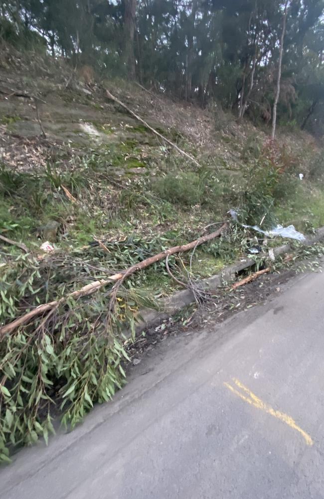 Emergency services were called to the Princes Highway, Loftus about 3am on Sunday, July 17 following reports a Ford Territory had left the roadway and collided with a number of trees. Picture: Ashleigh Tullis