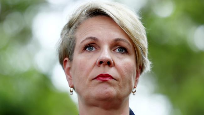 Tanya Plibersek. Picture: Hollie Adams