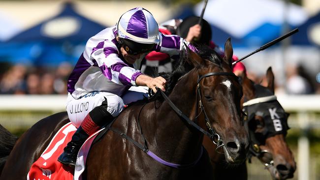Ef Troop can upset favourite Shooting For Gold at Doomben. Picture: AAP