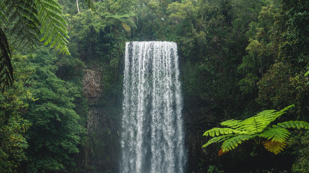 Millaa Millaa Falls is a popular swimming spot.