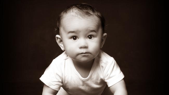 Noah Muirhead pulls his serious baby tiger face. Picture: Perth Studio