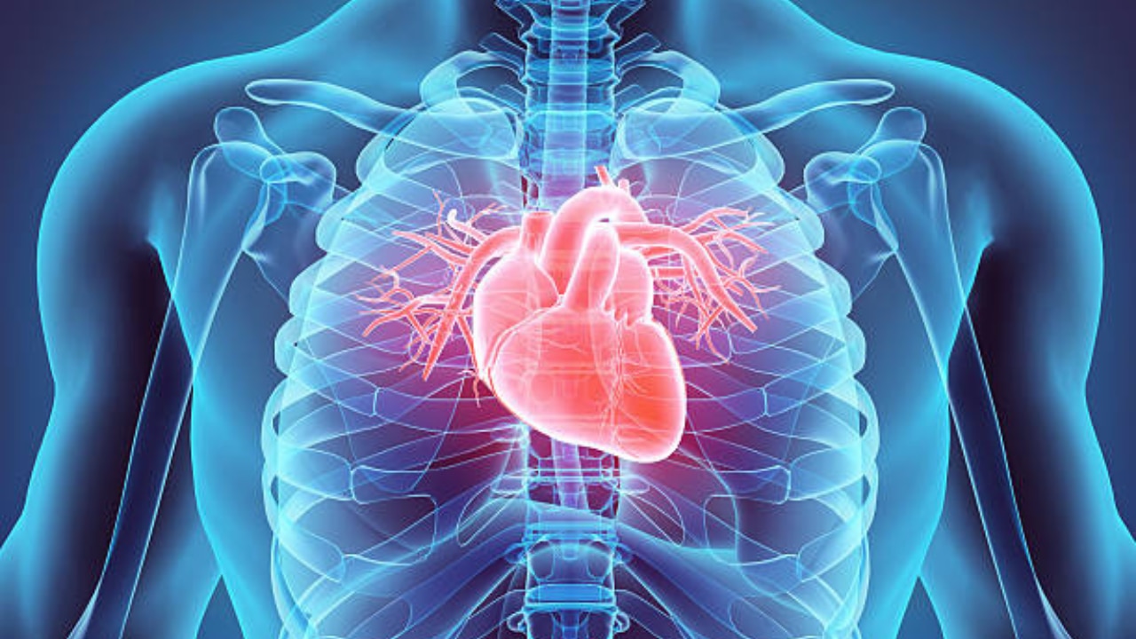 The injection targets scar tissue in the heart. Image: iStock