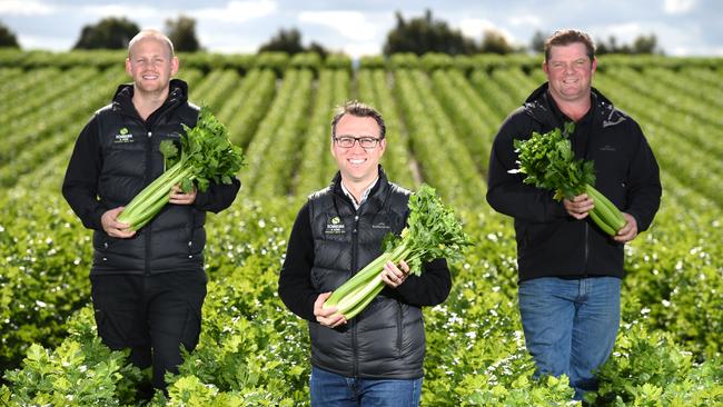 Farming Family cousins Ben, Christopher and Adam Schreurs at their Clyde farm 'Schruers and Sons'.