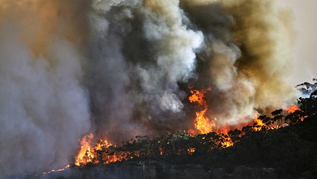 The recipe for destruction in out of control, high-temperature wildfires is a combination of high fuel load and limited capacity to control it.