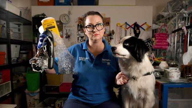 RSPCA Op Shop Store Manager Meg Gill and volunteer, Archie. Picture: Tricia Watkinson