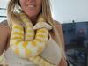 Python panic: ‘Anaconda sized’ snake on the loose