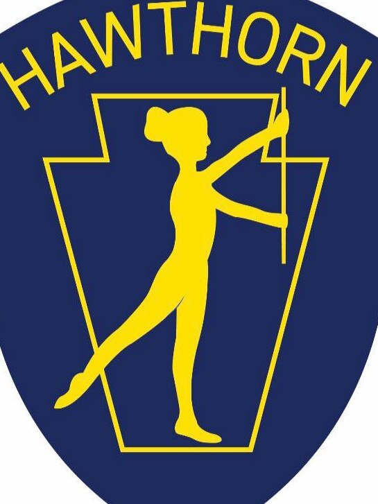 Hawthorn Calisthenics College is one of Victoria's top callisthenics clubs. Image: Facebook.